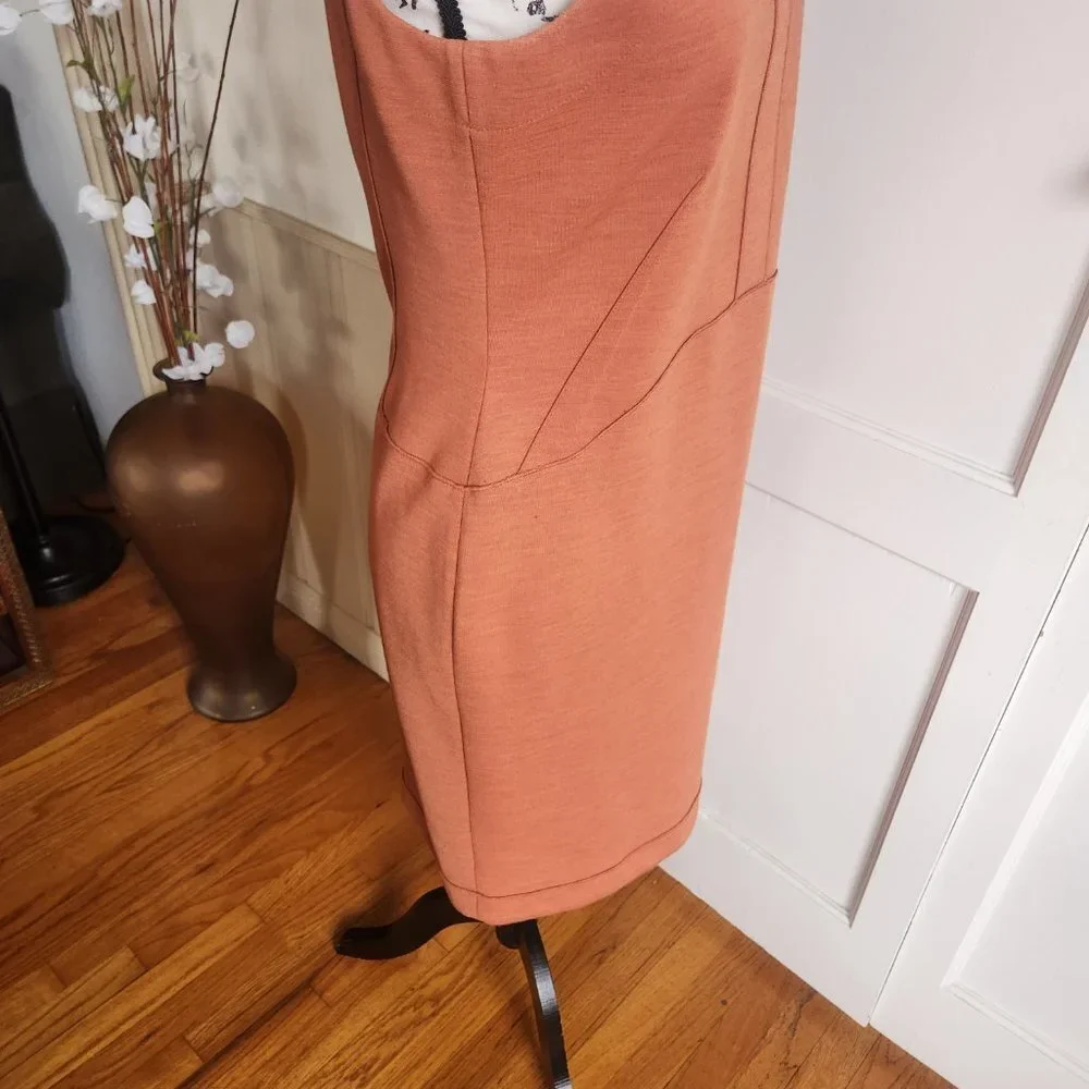 Buchanan and Kang Burnt Orange Sleeveless Sheath Dress Sz 6 NWOT - Picture 6 of 9